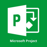 Microsoft Project 2010